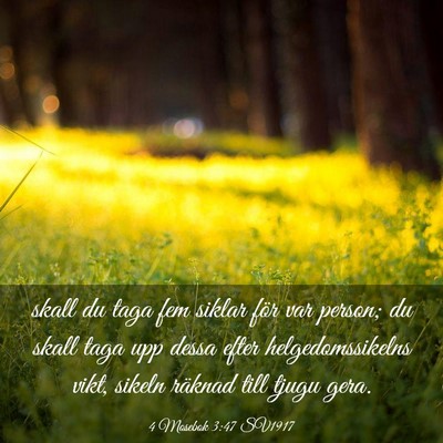 Picture 03 - 4 Mosebok 3:47 SV1917 - skall du taga fem siklar för var person; du - Bible Verse Picture