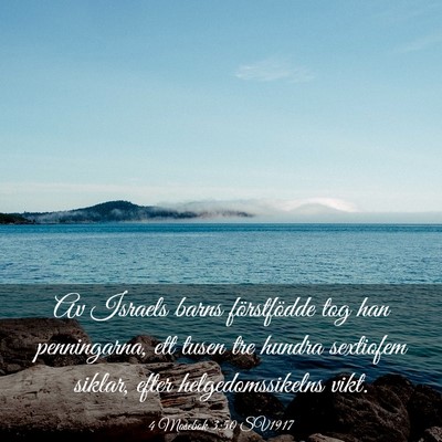 Picture 03 - 4 Mosebok 3:50 SV1917 - Av Israels barns förstfödde tog han - Bible Verse Picture