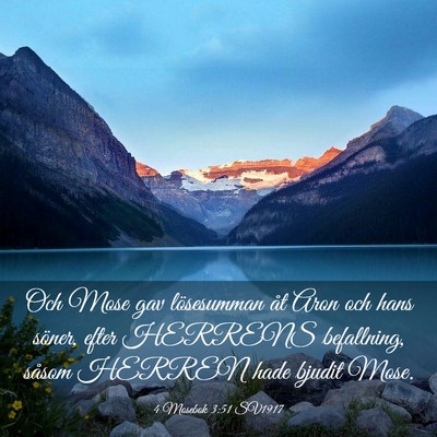 Picture 03 - 4 Mosebok 3:51 SV1917 - Och Mose gav lösesumman åt Aron och hans - Bible Verse Picture