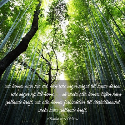 Picture 03 - 4 Mosebok 30:12 SV1917 - och hennes man hör det, men icke säger något - Bible Verse Picture