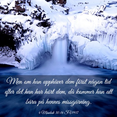 Picture 03 - 4 Mosebok 30:16 SV1917 - Men om han upphäver dem först någon tid efter - Bible Verse Picture