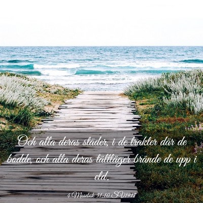Picture 03 - 4 Mosebok 31:10 SV1917 - Och alla deras städer, i de trakter där de - Bible Verse Picture