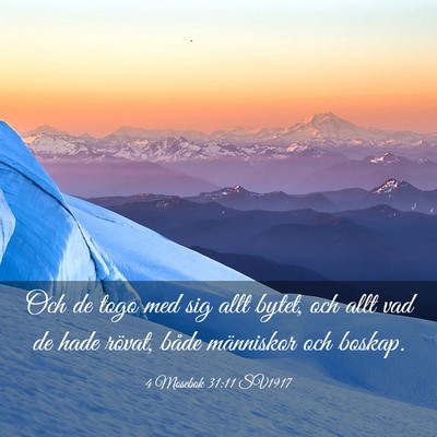 Picture 03 - 4 Mosebok 31:11 SV1917 - Och de togo med sig allt bytet, och allt vad de - Bible Verse Picture