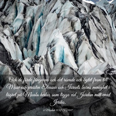 Picture 03 - 4 Mosebok 31:12 SV1917 - Och de förde fångarna och det rövade och bytet - Bible Verse Picture