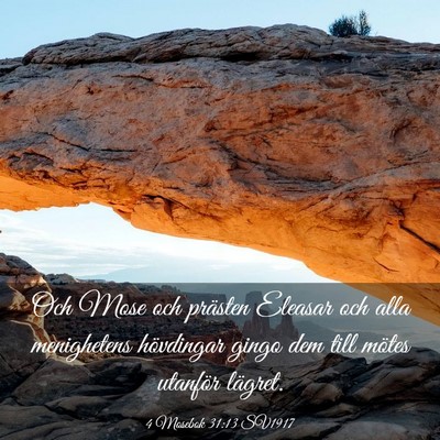 Picture 03 - 4 Mosebok 31:13 SV1917 - Och Mose och prästen Eleasar och alla - Bible Verse Picture