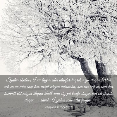 Picture 03 - 4 Mosebok 31:19 SV1917 - Själva skolen I nu lägra eder utanför lägret, - Bible Verse Picture