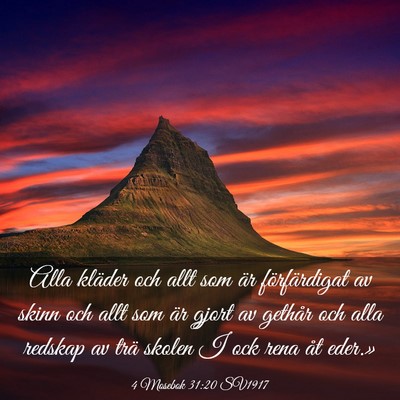 Picture 03 - 4 Mosebok 31:20 SV1917 - Alla kläder och allt som är förfärdigat av - Bible Verse Picture