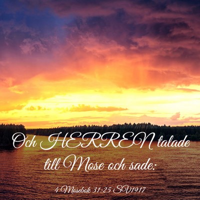 Picture 03 - 4 Mosebok 31:25 SV1917 - Och HERREN talade till Mose och - Bible Verse Picture
