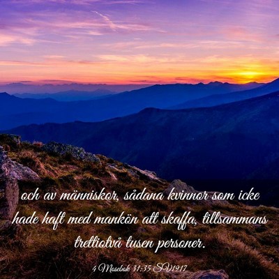 Picture 03 - 4 Mosebok 31:35 SV1917 - och av människor, sådana kvinnor som icke hade - Bible Verse Picture