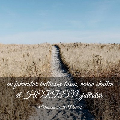 Picture 03 - 4 Mosebok 31:38 SV1917 - av fäkreatur trettiosex tusen, varav skatten åt - Bible Verse Picture