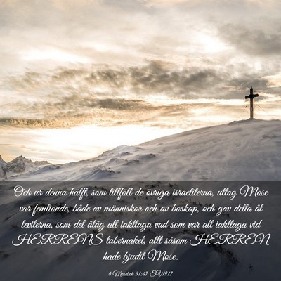 Picture 03 - 4 Mosebok 31:47 SV1917 - Och ur denna hälft, som tillföll de övriga - Bible Verse Picture