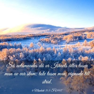 Picture 03 - 4 Mosebok 31:5 SV1917 - Så avlämnades då ur Israels ätter tusen man - Bible Verse Picture