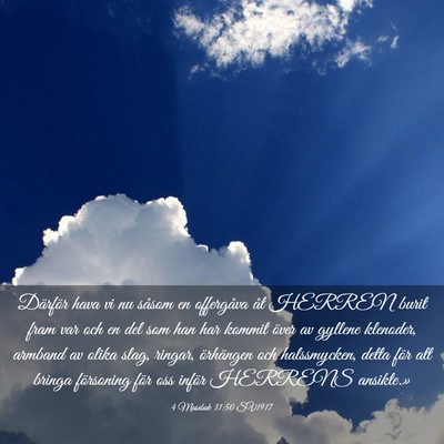 Picture 03 - 4 Mosebok 31:50 SV1917 - Därför hava vi nu såsom en offergåva åt - Bible Verse Picture