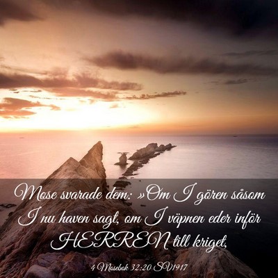 Picture 03 - 4 Mosebok 32:20 SV1917 - Mose svarade dem: »Om I gören såsom I nu haven - Bible Verse Picture