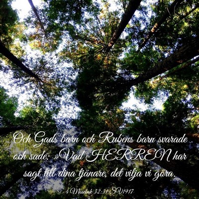 Picture 03 - 4 Mosebok 32:31 SV1917 - Och Gads barn och Rubens barn svarade och sade: - Bible Verse Picture