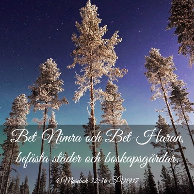 Picture 03 - 4 Mosebok 32:36 SV1917 - Bet-Nimra och Bet-Haran, befästa städer och - Bible Verse Picture