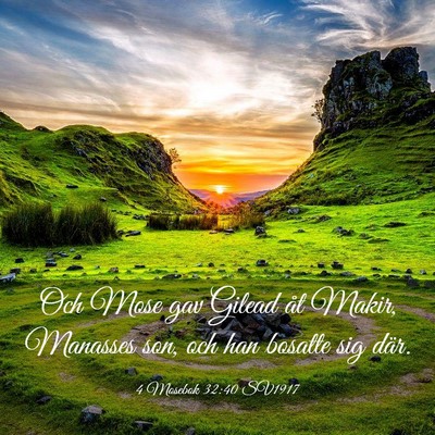 Picture 03 - 4 Mosebok 32:40 SV1917 - Och Mose gav Gilead åt Makir, Manasses son, och - Bible Verse Picture