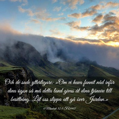 Picture 03 - 4 Mosebok 32:5 SV1917 - Och de sade ytterligare: »Om vi hava funnit nåd - Bible Verse Picture