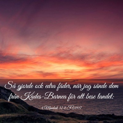 Picture 03 - 4 Mosebok 32:8 SV1917 - Så gjorde ock edra fäder, när jag sände dem - Bible Verse Picture