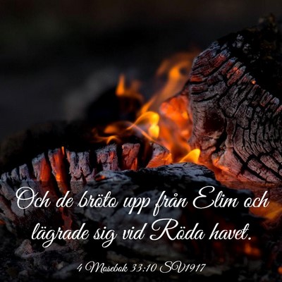 Picture 03 - 4 Mosebok 33:10 SV1917 - Och de bröto upp från Elim och lägrade sig vid - Bible Verse Picture