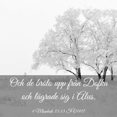 Picture 03 - 4 Mosebok 33:13 SV1917 - Och de bröto upp från Dofka och lägrade sig i - Bible Verse Picture