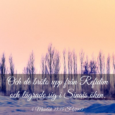 Picture 03 - 4 Mosebok 33:15 SV1917 - Och de bröto upp från Refidim och lägrade sig - Bible Verse Picture