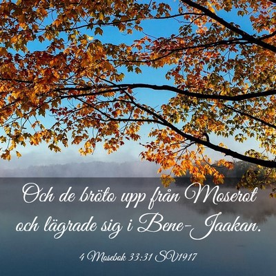 Picture 03 - 4 Mosebok 33:31 SV1917 - Och de bröto upp från Moserot och lägrade sig - Bible Verse Picture