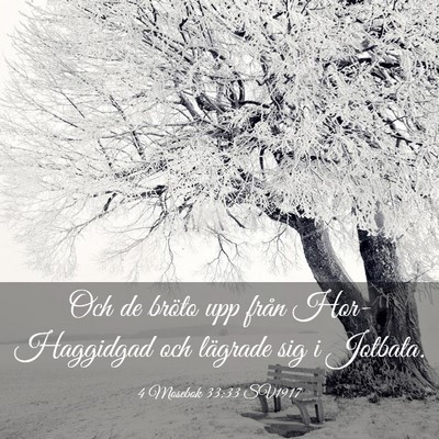 Picture 03 - 4 Mosebok 33:33 SV1917 - Och de bröto upp från Hor-Haggidgad och - Bible Verse Picture