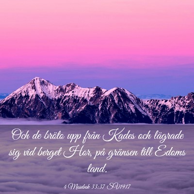 Picture 03 - 4 Mosebok 33:37 SV1917 - Och de bröto upp från Kades och lägrade sig - Bible Verse Picture