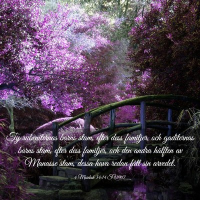 Picture 03 - 4 Mosebok 34:14 SV1917 - Ty rubeniternas barns stam, efter dess familjer, - Bible Verse Picture