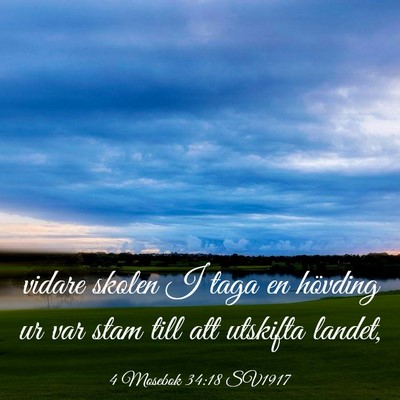 Picture 03 - 4 Mosebok 34:18 SV1917 - vidare skolen I taga en hövding ur var stam till - Bible Verse Picture