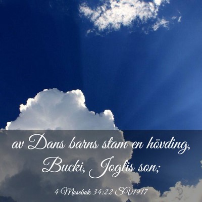 Picture 03 - 4 Mosebok 34:22 SV1917 - av Dans barns stam en hövding, Bucki, Joglis - Bible Verse Picture