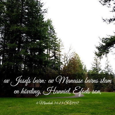 Picture 03 - 4 Mosebok 34:23 SV1917 - av Josefs barn: av Manasse barns stam en - Bible Verse Picture