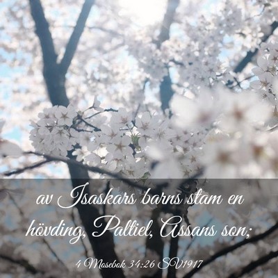 Picture 03 - 4 Mosebok 34:26 SV1917 - av Isaskars barns stam en hövding, Paltiel, - Bible Verse Picture