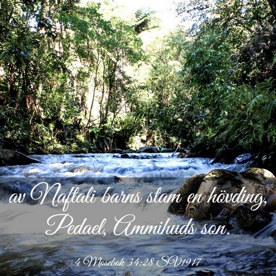 Picture 03 - 4 Mosebok 34:28 SV1917 - av Naftali barns stam en hövding, Pedael, - Bible Verse Picture