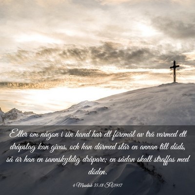 Picture 03 - 4 Mosebok 35:18 SV1917 - Eller om någon i sin hand har ett föremål av - Bible Verse Picture