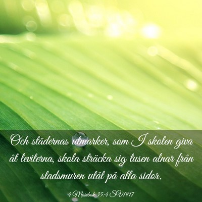 Picture 03 - 4 Mosebok 35:4 SV1917 - Och städernas utmarker, som I skolen giva åt - Bible Verse Picture
