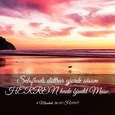 Picture 03 - 4 Mosebok 36:10 SV1917 - Selofhads döttrar gjorde såsom HERREN hade - Bible Verse Picture