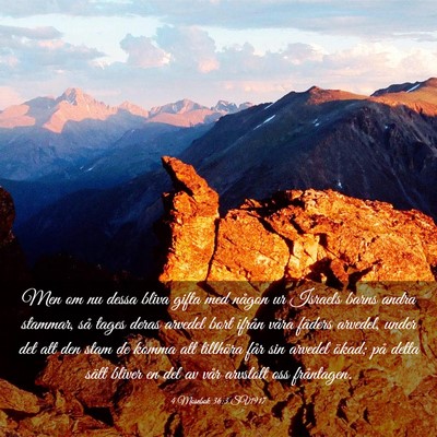 Picture 03 - 4 Mosebok 36:3 SV1917 - Men om nu dessa bliva gifta med någon ur Israels - Bible Verse Picture