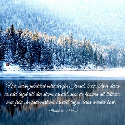 Picture 03 - 4 Mosebok 36:4 SV1917 - När sedan jubelåret inträder för Israels - Bible Verse Picture