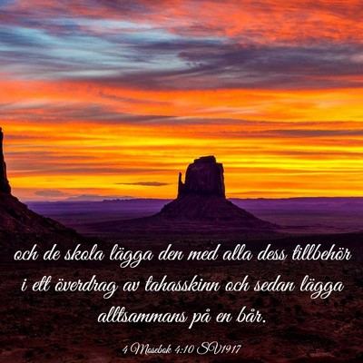 Picture 03 - 4 Mosebok 4:10 SV1917 - och de skola lägga den med alla dess tillbehör - Bible Verse Picture