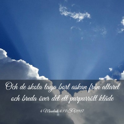 Picture 03 - 4 Mosebok 4:13 SV1917 - Och de skola taga bort askan från altaret och - Bible Verse Picture