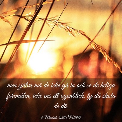 Picture 03 - 4 Mosebok 4:20 SV1917 - men själva må de icke gå in och se de heliga - Bible Verse Picture