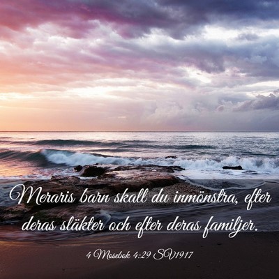 Picture 03 - 4 Mosebok 4:29 SV1917 - Meraris barn skall du inmönstra, efter deras - Bible Verse Picture