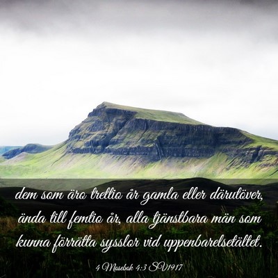 Picture 03 - 4 Mosebok 4:3 SV1917 - dem som äro trettio år gamla eller därutöver, - Bible Verse Picture