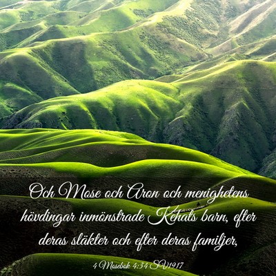 Picture 03 - 4 Mosebok 4:34 SV1917 - Och Mose och Aron och menighetens hövdingar - Bible Verse Picture