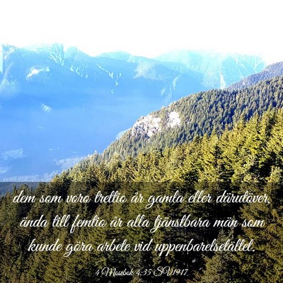 Picture 03 - 4 Mosebok 4:35 SV1917 - dem som voro trettio år gamla eller därutöver, - Bible Verse Picture