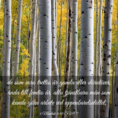 Picture 03 - 4 Mosebok 4:39 SV1917 - de som voro trettio år gamla eller därutöver, - Bible Verse Picture