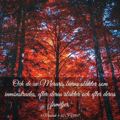 Picture 03 - 4 Mosebok 4:42 SV1917 - Och de av Meraris barns släkter som - Bible Verse Picture