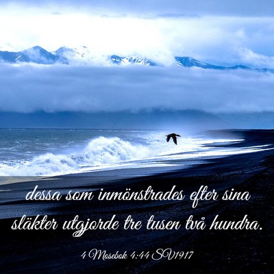 Picture 03 - 4 Mosebok 4:44 SV1917 - dessa som inmönstrades efter sina släkter - Bible Verse Picture